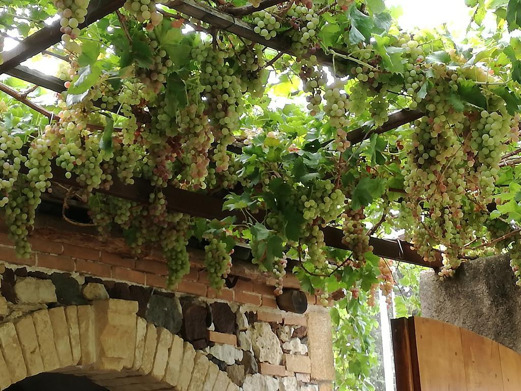 Bauernhof Agriturismo Il Melograno Riola Sardo