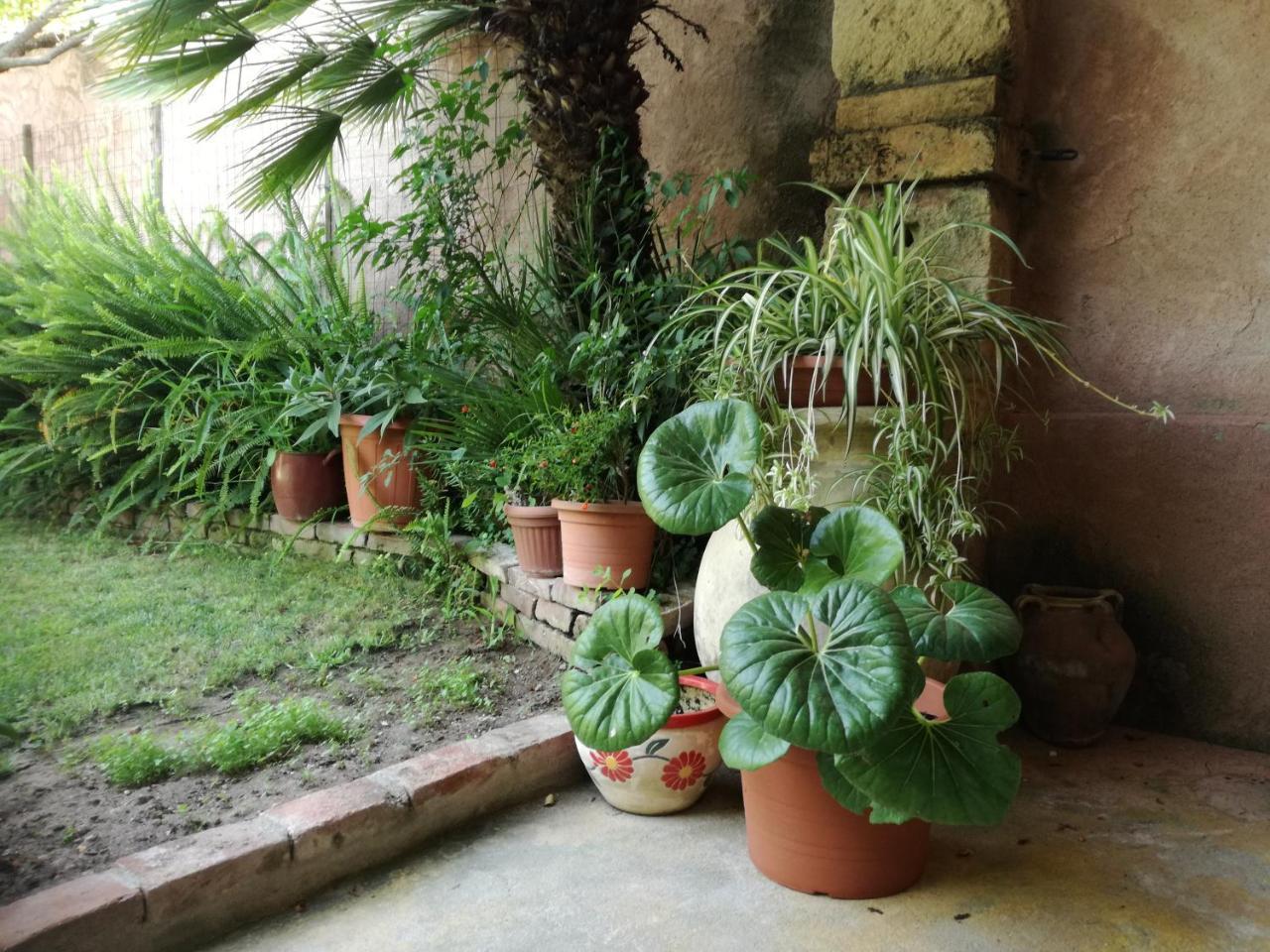 Agriturismo Il Melograno Bauernhof *